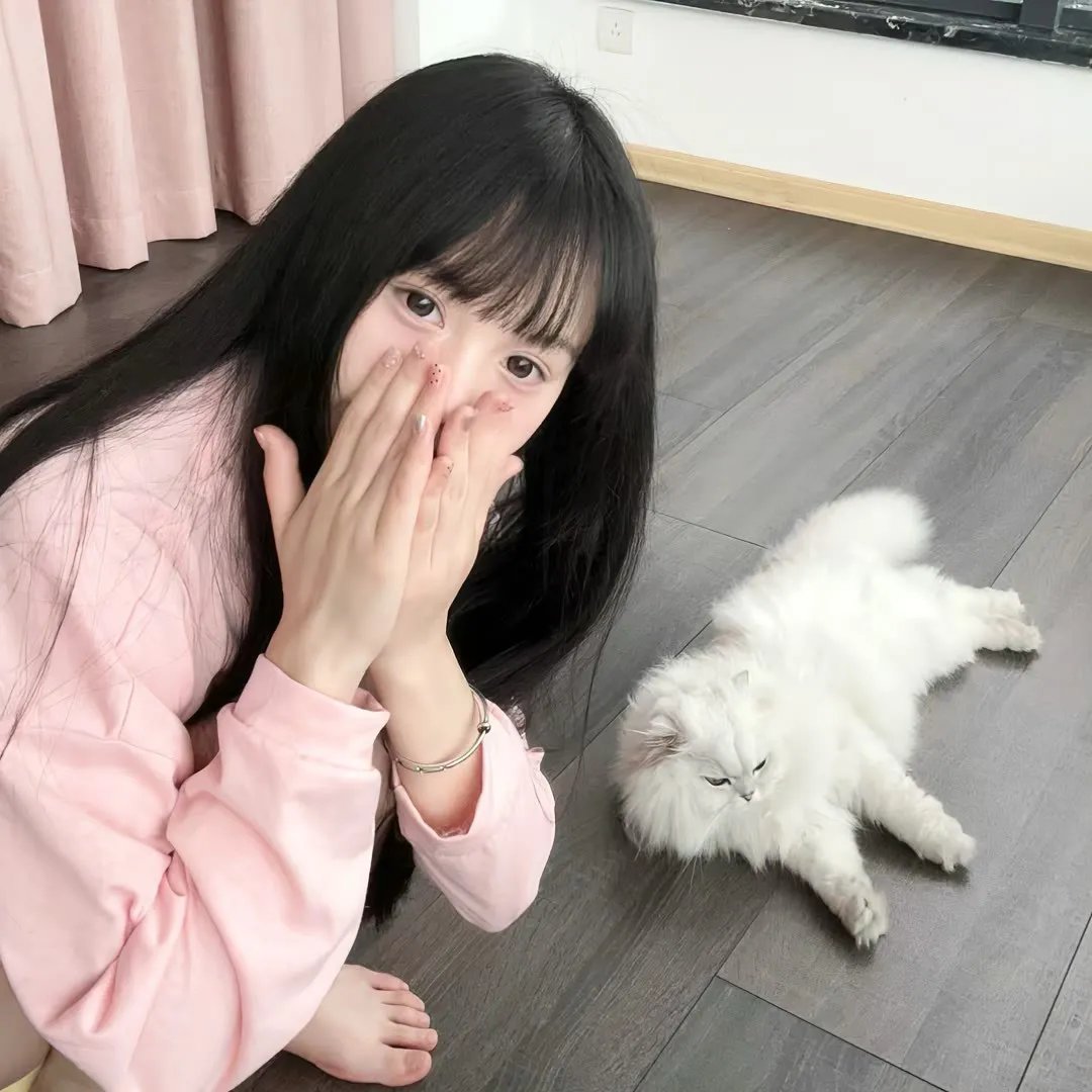 玉楼三凤